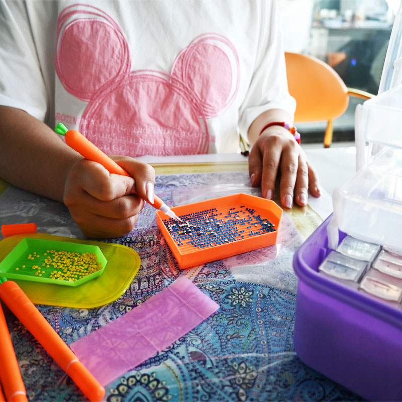 Diamond Embroidery Tools Carro - Embroidery Service recensie en prijs