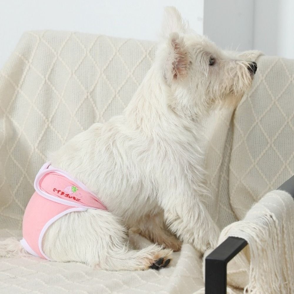Fruit Print Pet Physiological  - Embroidery Underwear recensie en prijs