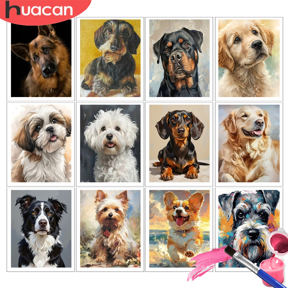 HUACAN Painting By Number Kits - Embroidery Translate recensie en prijs