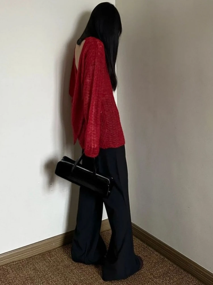 Y2K See-Through Knitted Women' - Embroidery Fashion recensie en prijs